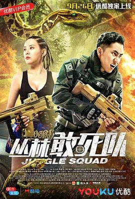 丛林敢死队HD国语